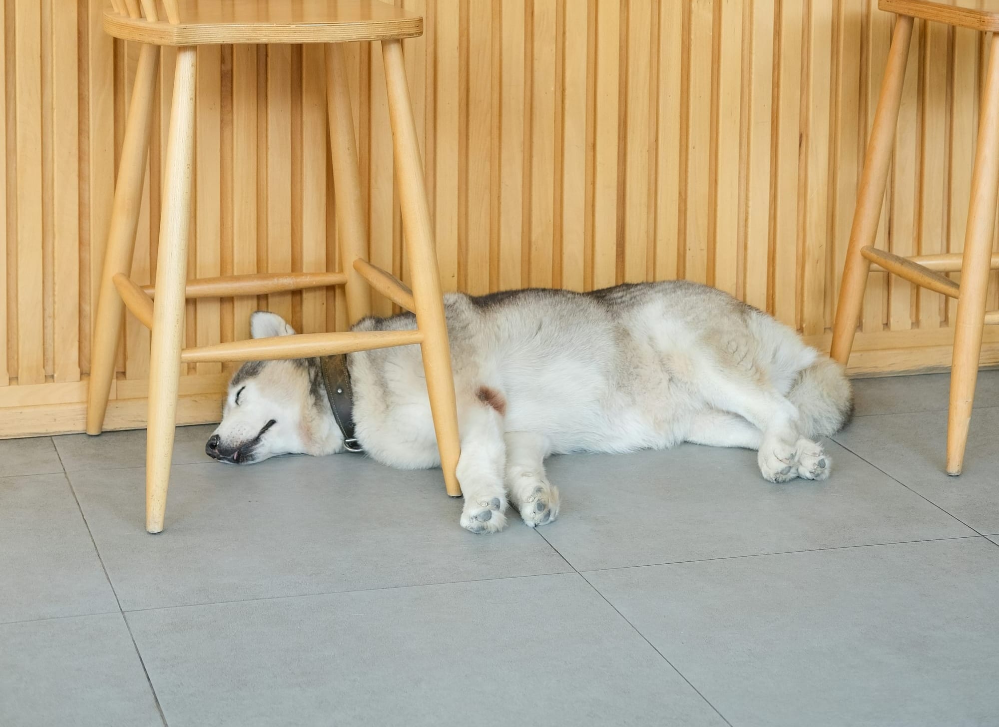 멕시코