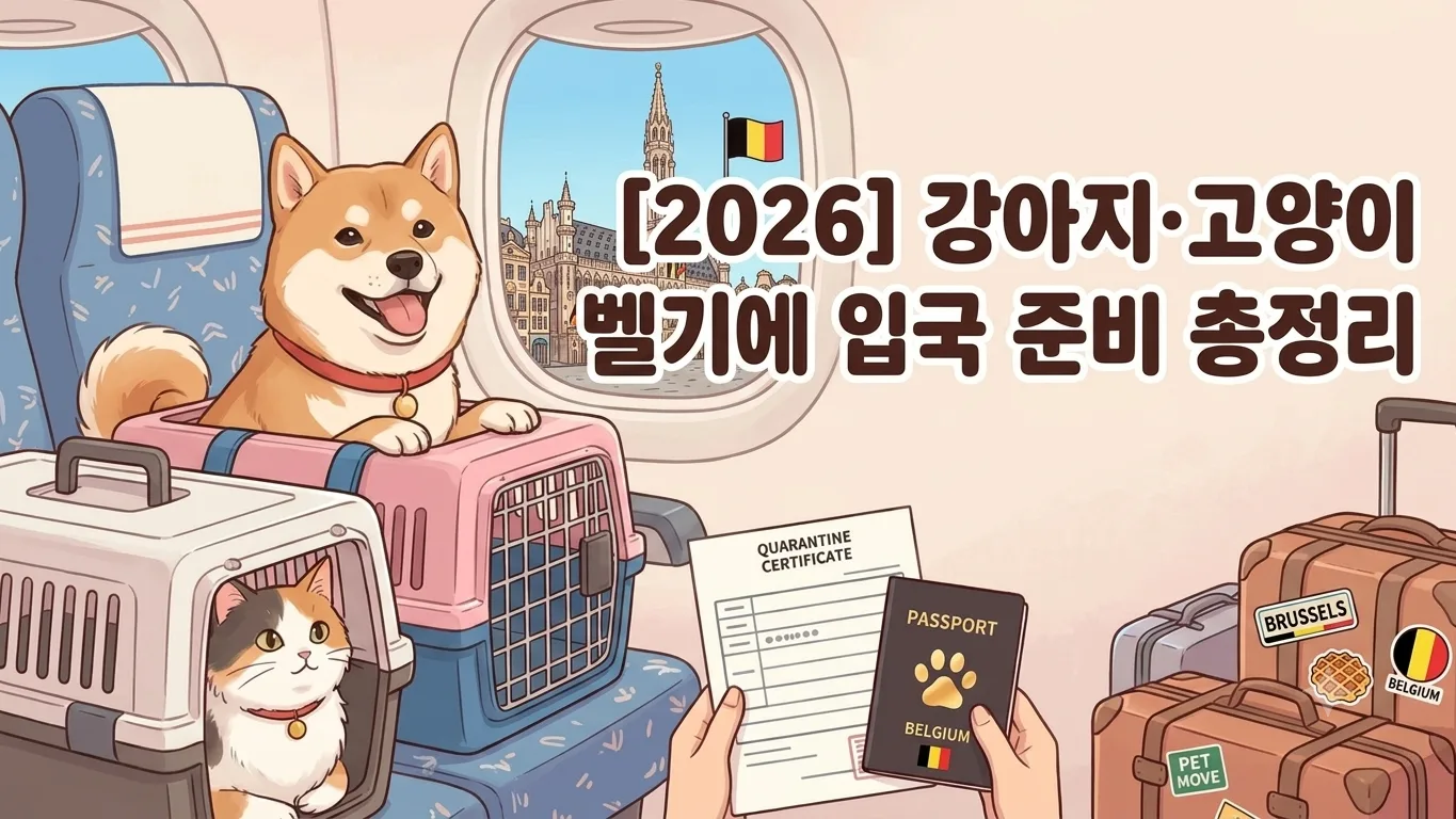 [2026] 강아지·고양이 벨기에 입국 준비 총정리 | 동물검역 절차·서류·기간